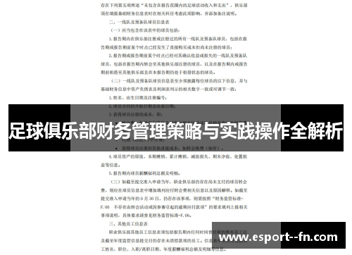 足球俱乐部财务管理策略与实践操作全解析 足球俱乐部财务管理策略与实践操作全解析