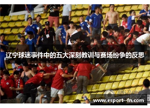 辽宁球迷事件中的五大深刻教训与赛场纷争的反思
