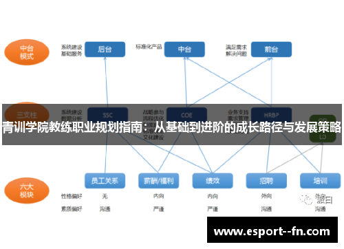青训学院教练职业规划指南：从基础到进阶的成长路径与发展策略